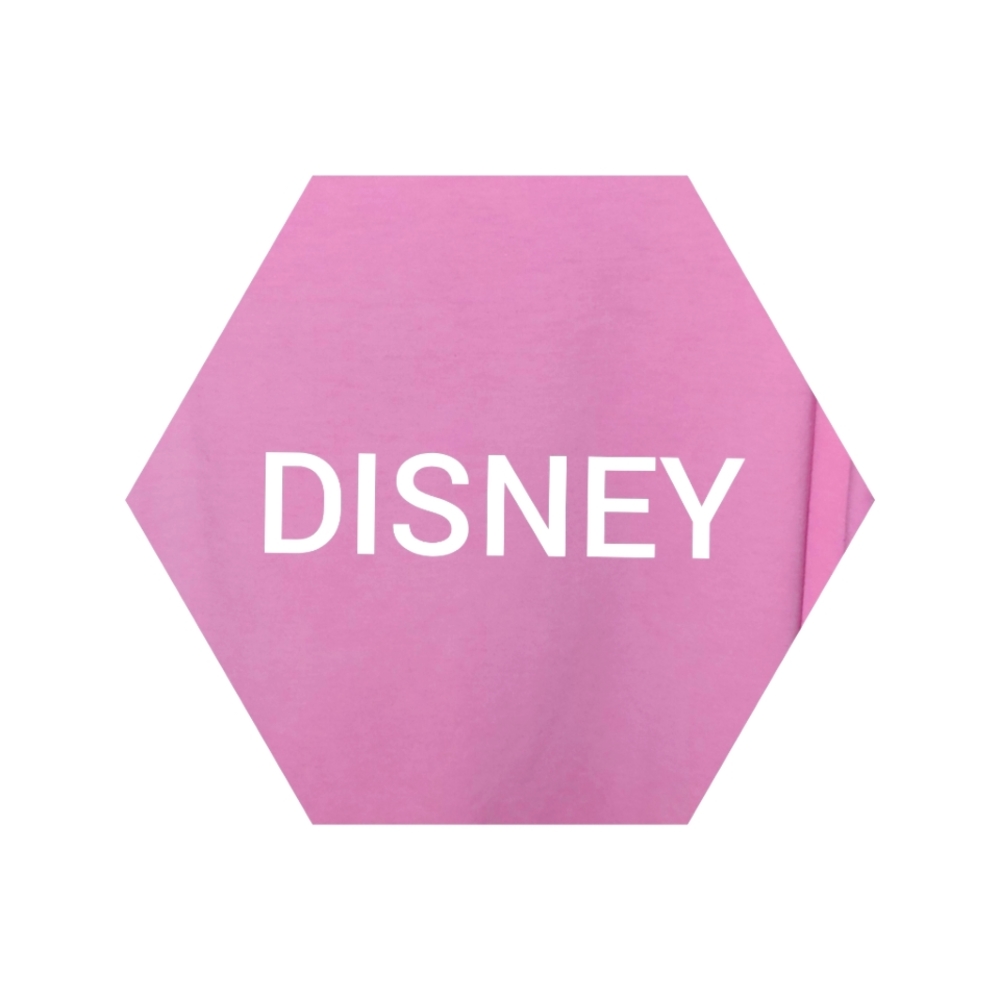 DISNEY ITEMS
